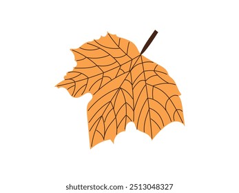 Vector  flat style  leaf illustration. Vintage sketch element for the design of labels, packaging and postcards.