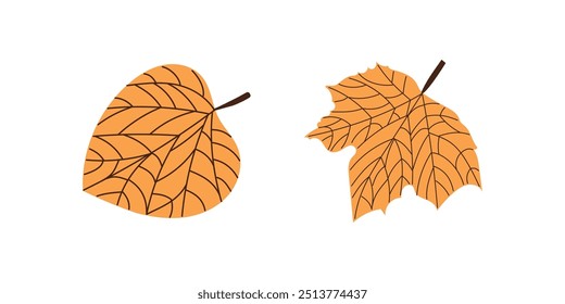 Vector  flat style  leaf illustration. Vintage sketch element for the design of labels, packaging and postcards.