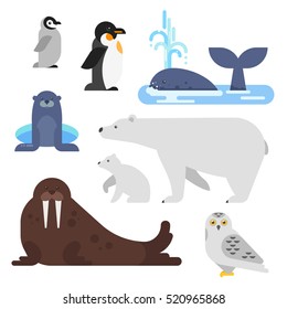 Vector flat style set of arctic animal. Walrus, whale, penguin, bear. Isolated on white background.