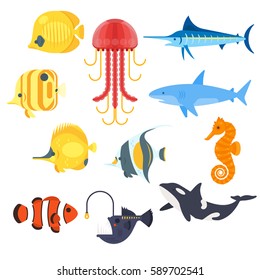 Vector flat style set of exotic fish. Icon for web. Isolated on white background.