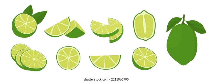 Vector flat style set of lime. Whole key lime, sliced, cutted in half and citrus wedges. Composition of fruit slices. Delicious juicy citron for cocktails. 