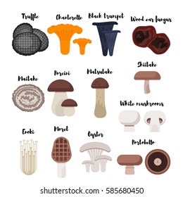 Vector flat style set of mushrooms. Icon for web. Isolated on white background.