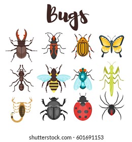 Vector flat style set of various colorful bugs. Icon for web. Isolated on white background.