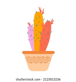 Vector flat succulent cactus house plant