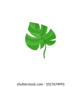 Vector flat summer symbol - tropical green monstera leaf icon. Isolated floral illustration on a white background for advertising, poster design.