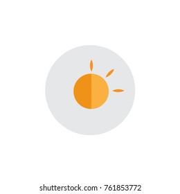 Vector flat sun icon