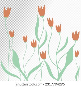 Vector flat tulip flowers with leaves illustration