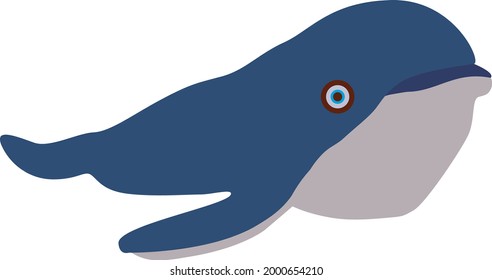 Vector Flat Whale Art Illustration