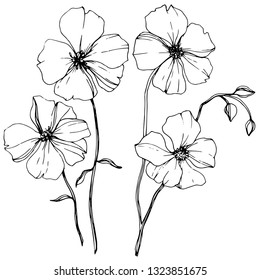 Vector Flax floral botanical flower. Wild spring leaf wildflower isolated. Black and white engraved ink art. Isolated flax illustration element on white background.