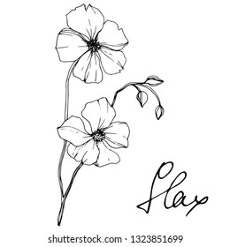 Vector Flax floral botanical flower. Wild spring leaf wildflower isolated. Black and white engraved ink art. Isolated flax illustration element on white background.