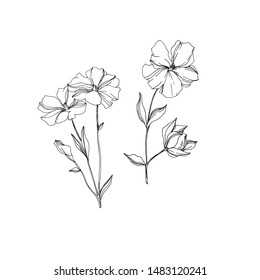 Vector Flax floral botanical flowers. Wild spring leaf wildflower isolated. Black and white engraved ink art. Isolated flax illustration element on white background.