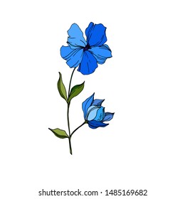 Vector Flax floral botanical flowers. Wild spring leaf wildflower isolated. Blue and green engraved ink art. Isolated flax illustration element on white background.