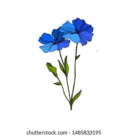 Vector Flax floral botanical flowers. Wild spring leaf wildflower isolated. Blue and green engraved ink art. Isolated flax illustration element on white background.