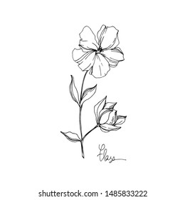 Vector Flax floral botanical flowers. Wild spring leaf wildflower isolated. Black and white engraved ink art. Isolated flax illustration element on white background.