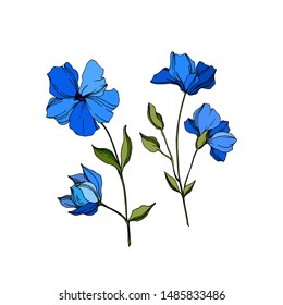 Vector Flax floral botanical flowers. Wild spring leaf wildflower isolated. Blue and green engraved ink art. Isolated flax illustration element on white background.