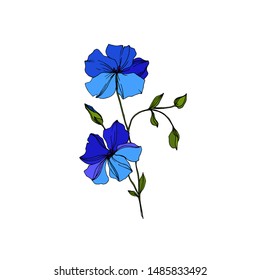 Vector Flax floral botanical flowers. Wild spring leaf wildflower isolated. Blue and green engraved ink art. Isolated flax illustration element on white background.