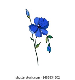 Vector Flax floral botanical flowers. Wild spring leaf wildflower isolated. Blue and green engraved ink art. Isolated flax illustration element on white background.