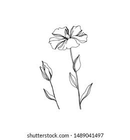 Vector Flax floral botanical flowers. Wild spring leaf wildflower isolated. Black and white engraved ink art. Isolated flax illustration element on white background.