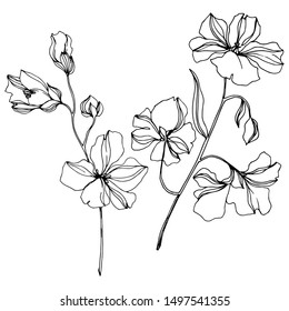 Vector Flax floral botanical flowers. Wild spring leaf wildflower isolated. Black and white engraved ink art. Isolated flax illustration element on white background.