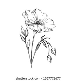 Vector Flax floral botanical flowers. Wild spring leaf wildflower isolated. Black and white engraved ink art. Isolated flax illustration element.