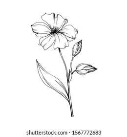 Vector Flax floral botanical flowers. Wild spring leaf wildflower isolated. Black and white engraved ink art. Isolated flax illustration element.