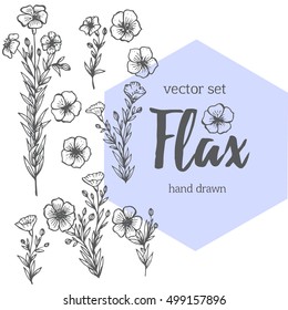 Vector Flax. Isolated plants on white background.Great  for label, poster, web, packing