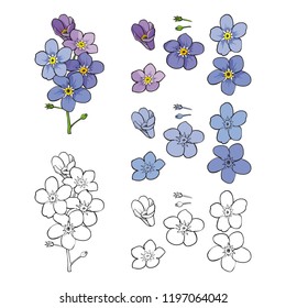 Vektor Flachsleinenblüten, Stiele, Blätter und Bouquets Set. Natürlicher Sommer, Frühlingswiese mit blauen Blütenblättern, einfarbig. Florale natürliche Illustration für Poster, Stoffdekoration