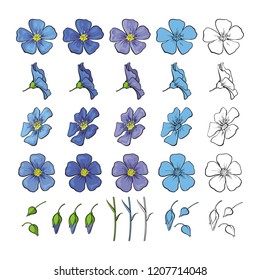 Vector flax linen blossoms, stems, leaves and buds set. Natural summer, spring meadow plants with blue petals, monochrome. Floral natural illustration for poster, textile decoration