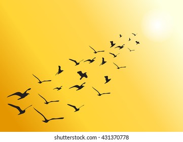 vector flock of flying birds towards bright sun