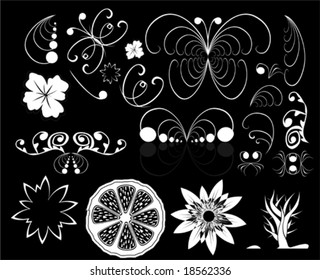 VECTOR Flora and butterflies design elements