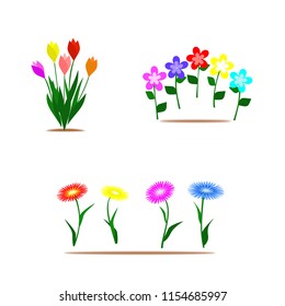 Vector flora set,Collection with leaves and flowers colorful isolated on white background
