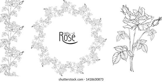 vector floral arrangement with rose flowers and rose buds