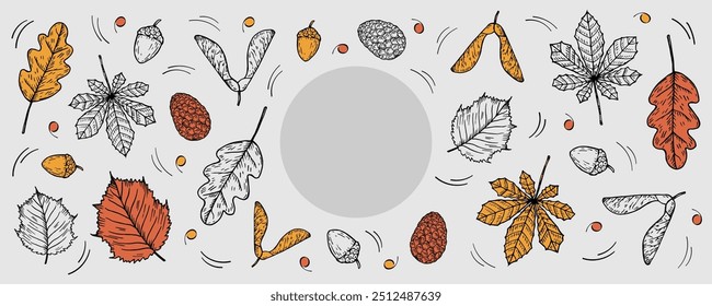 Vector floral Autumnal banner for text. Hand drawn doodle with autumn leaves, cones, acorn, maple leaf, oak leaf, plants. Design elements for Thanksgiving Day, fall season, event, web, card, flyer