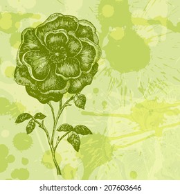 Vector floral background