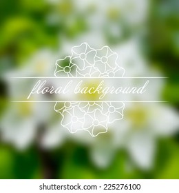 vector floral background