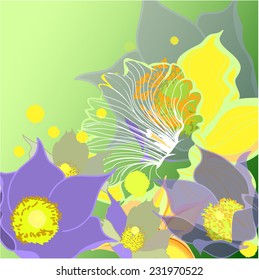 vector floral background