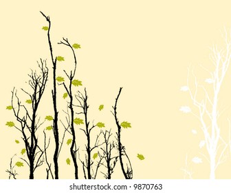 Vector floral background