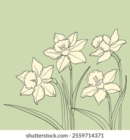 Vector floral background with blooming daffodils flowers. Narcissus flowers and leaves on a green background. 