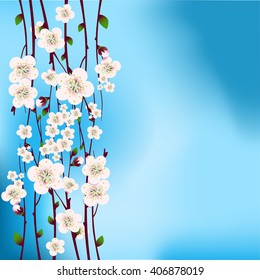 Vector floral background, card or invitation template