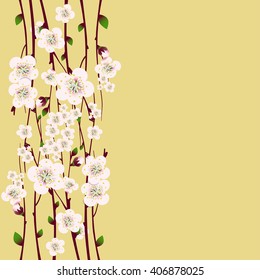 Vector floral background, card or invitation template