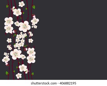 Vector floral background, card or invitation template
