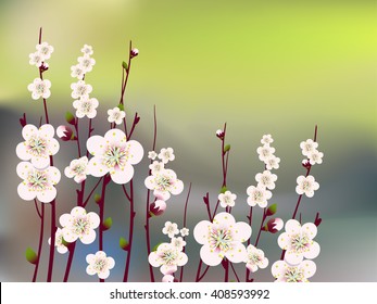 Vector floral background, card or invitation template
