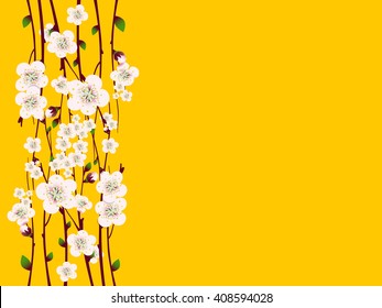 Vector floral background, card or invitation template