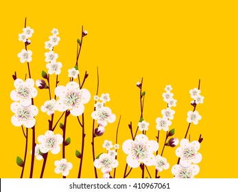 Vector floral background, card or invitation template