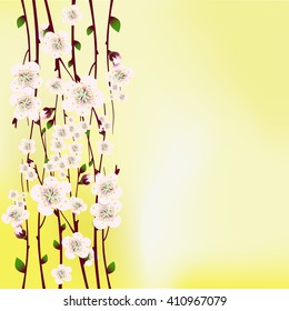 Vector floral background, card or invitation template