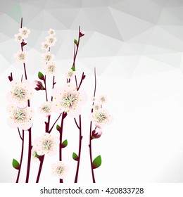 Vector floral background, card or invitation template