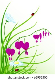 vector floral background with chamomiles and ladybugs