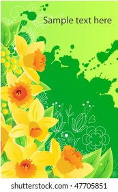 Vector floral background with daffodils and free space four your text