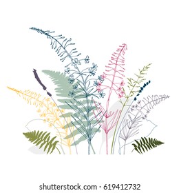 Vector floral background  with  fireweed flowers, fern leaves, lavender and grass. Hand drawn thin lines meadow wild plants in pink, gray, blue and green, isolated on white background.