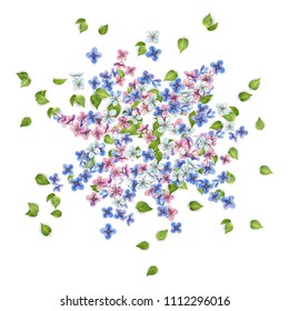 Vector floral background. Flying flowers and leaves